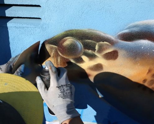Maler Gehm in Wedel & Hamburg - Aussenarbeiten - Graffiti - Meeresschildkröte